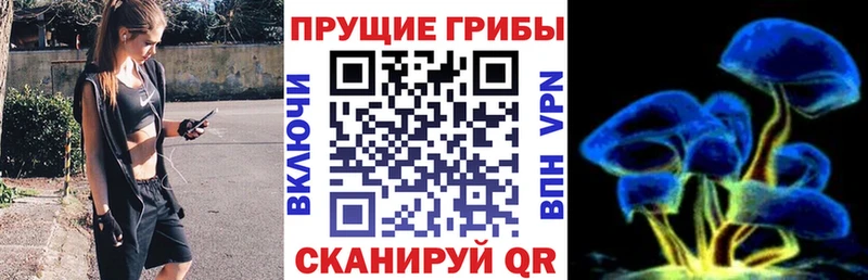блэк спрут онион как найти закладки Звенигород Псилоцибиновые грибы GOLDEN TEACHER